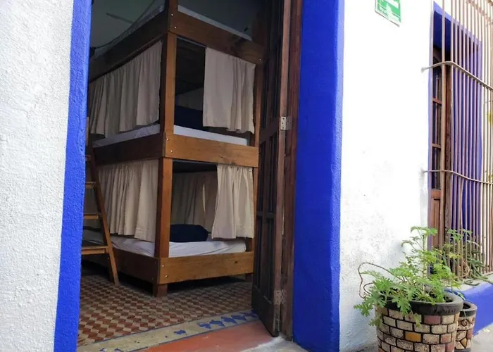  Ikali